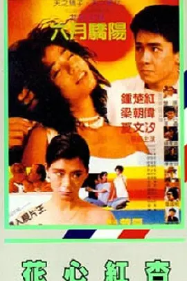 私拍视频