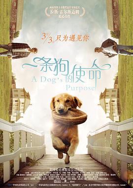 色图综合