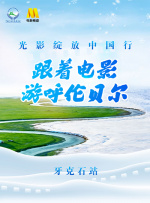 猫咪av网址