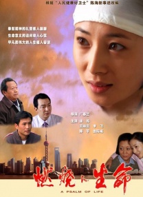 精品国产一区二区三区不卡在线