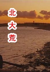 日本理伦少妇2做爰
