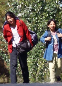 后院情事