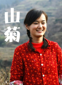 99久久精品国产一区二区成人