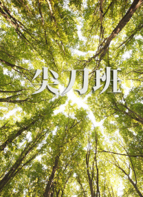 久久久久久久久a免费