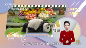 国产精品四虎